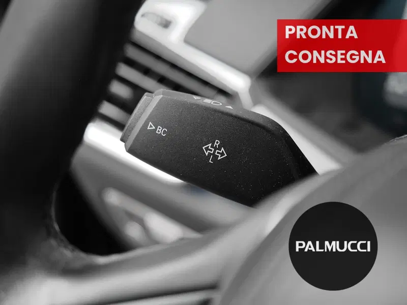 BMW X5 usata a Prato (17)