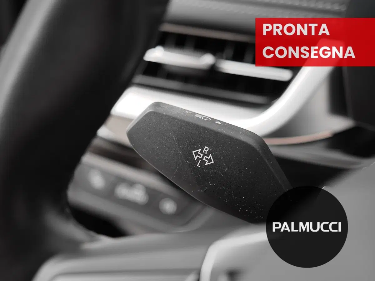 BMW X1 usata a Prato (14)