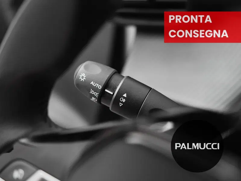 Peugeot 208 usata a Prato (12)