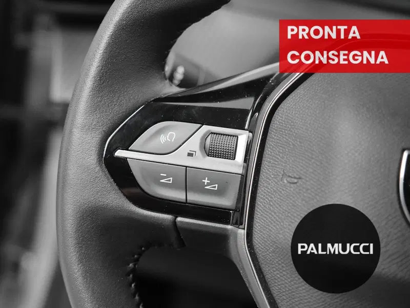 Peugeot 208 usata a Prato (20)