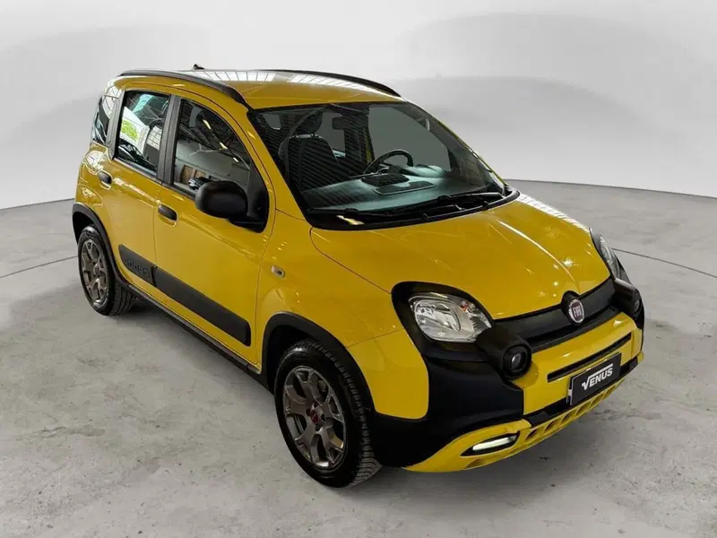 Fiat Panda usata a Monza e Brianza (16)