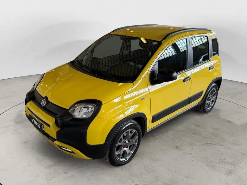 Fiat Panda usata a Monza e Brianza (2)
