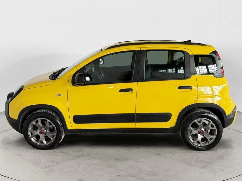 Fiat Panda usata a Monza e Brianza (3)