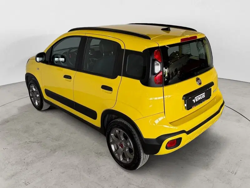 Fiat Panda usata a Monza e Brianza (4)
