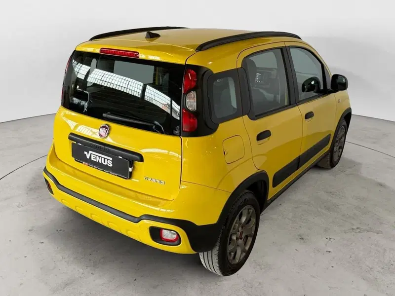 Fiat Panda usata a Monza e Brianza (6)