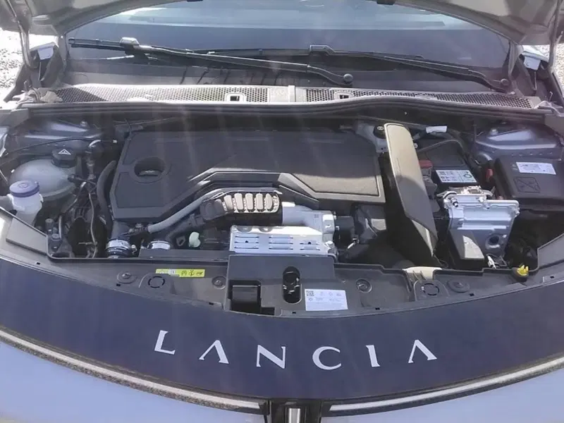 Lancia Ypsilon usata a Salerno (10)