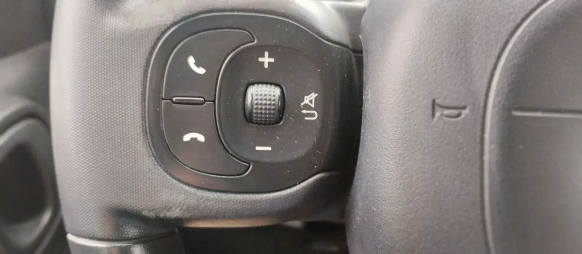 Fiat Panda usata a Rimini (8)