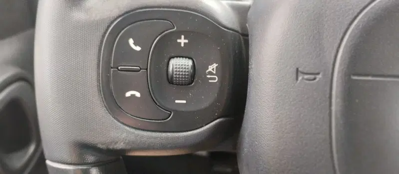 Fiat Panda usata a Rimini (8)