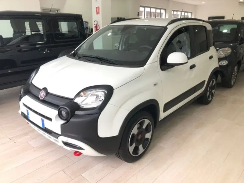 Fiat Panda usata a Torino
