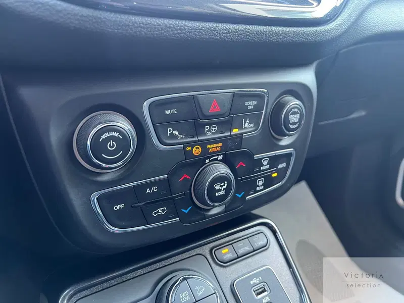 Jeep Compass usata a Brescia (12)