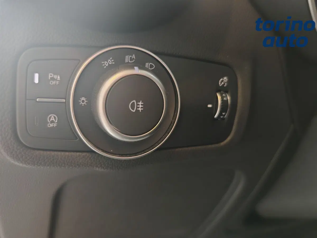 Alfa Romeo Stelvio usata a Torino (9)