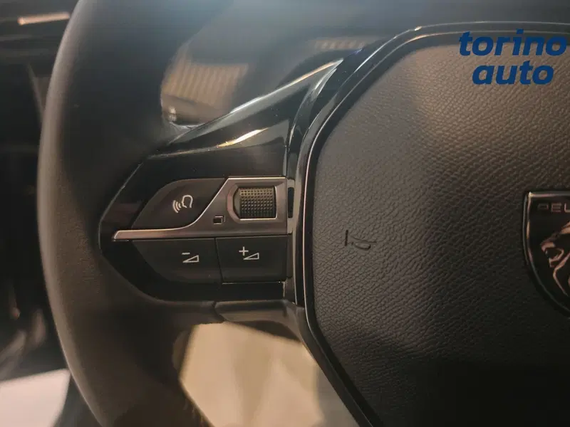 Peugeot 208 usata a Torino (11)