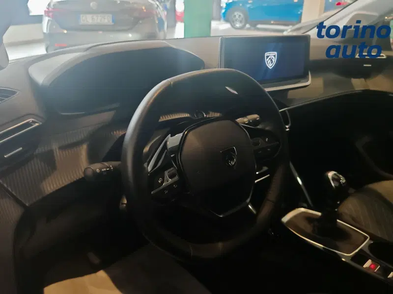 Peugeot 208 usata a Torino (5)