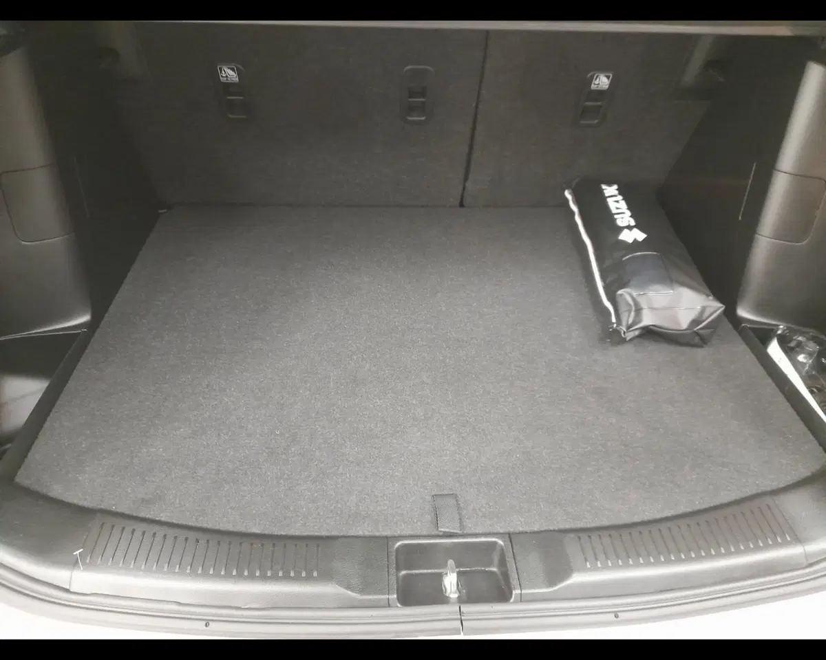Suzuki S-Cross usata a Alessandria (20)
