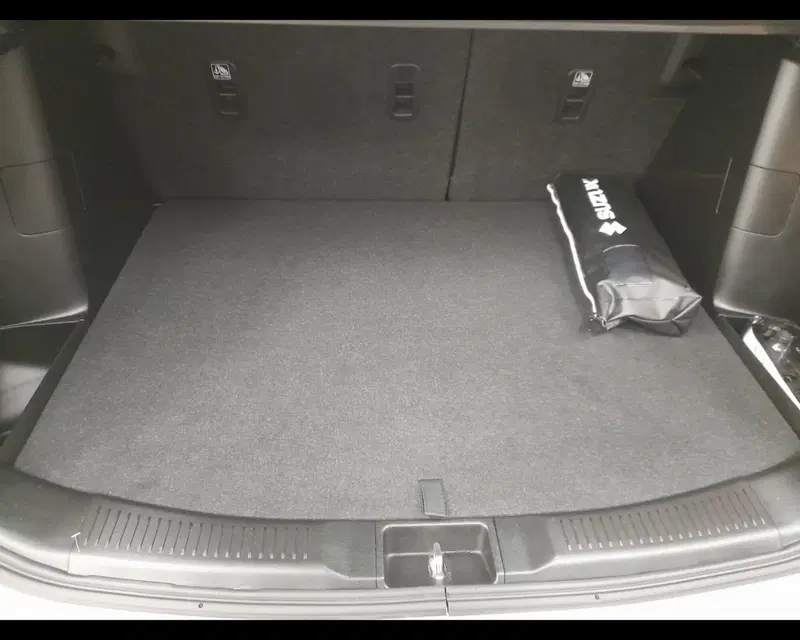 Suzuki S-Cross usata a Alessandria (20)