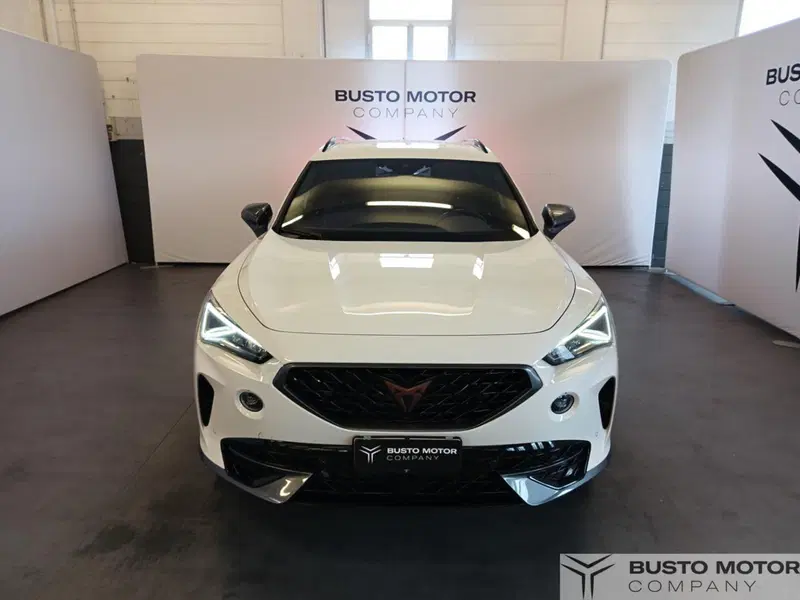 Cupra Formentor usata a Varese (2)