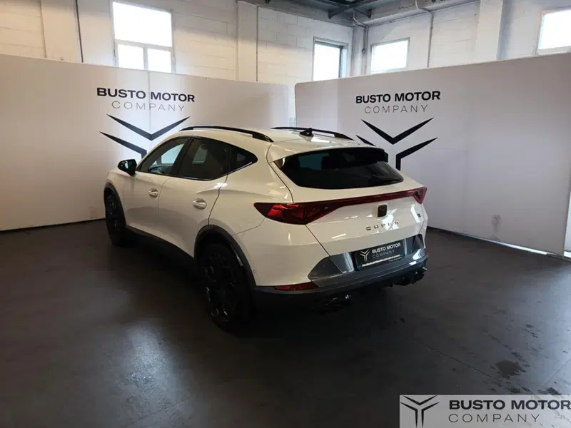 Cupra Formentor usata a Varese (4)