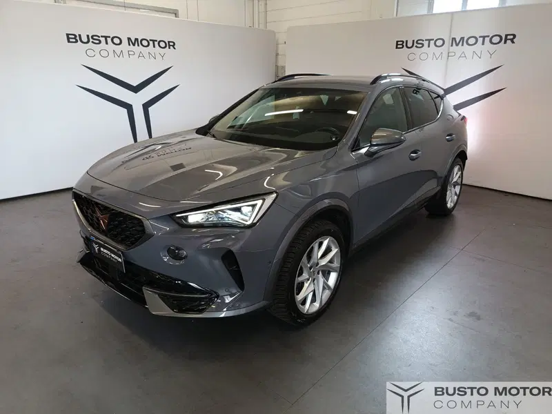 Cupra Formentor usata a Varese (3)