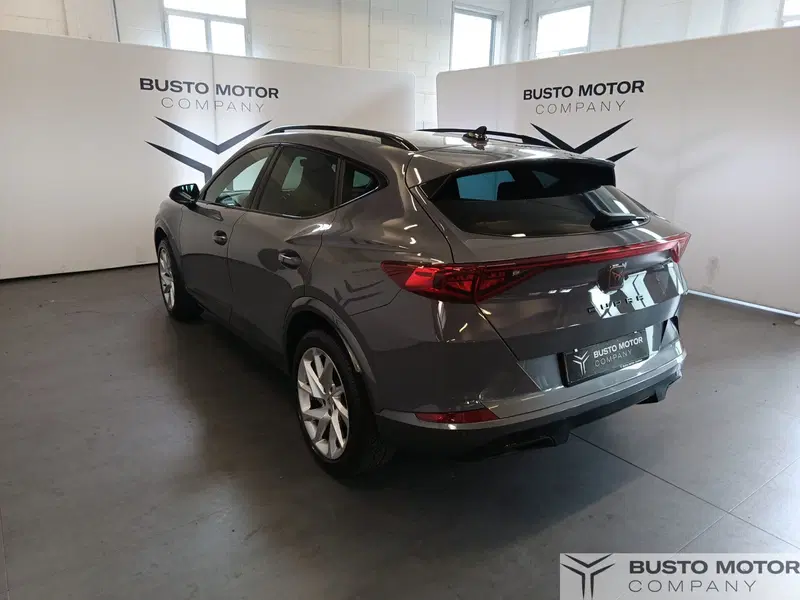 Cupra Formentor usata a Varese (6)