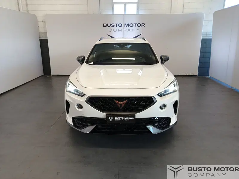 Cupra Formentor usata a Varese (2)