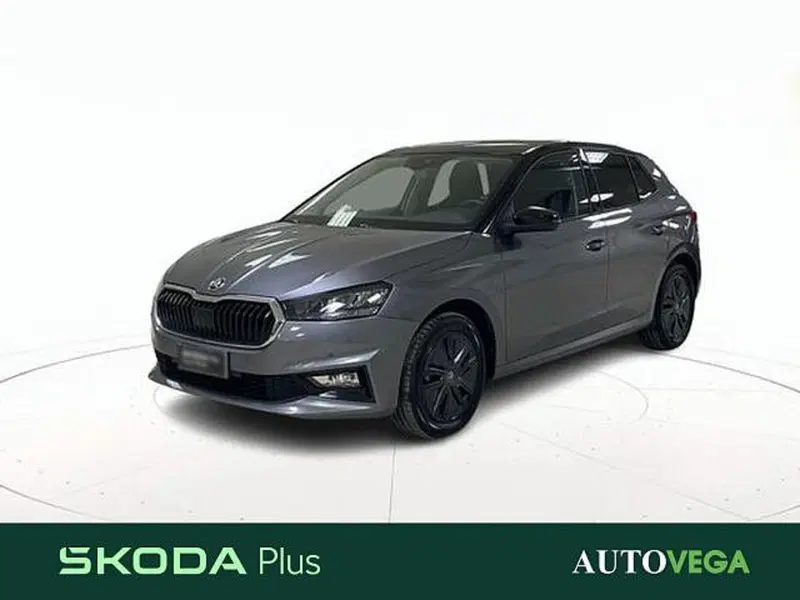 Skoda Fabia usata a Vicenza