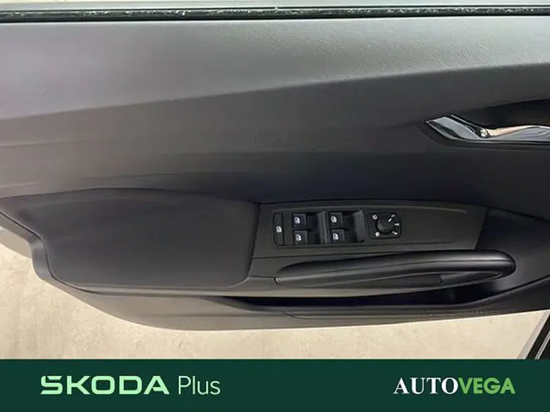 Skoda Fabia usata a Vicenza (17)