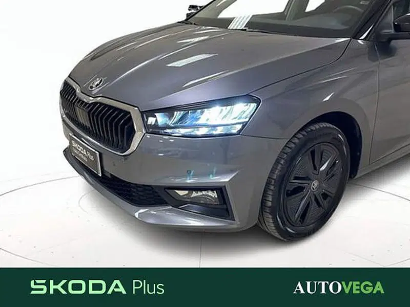 Skoda Fabia usata a Vicenza (20)