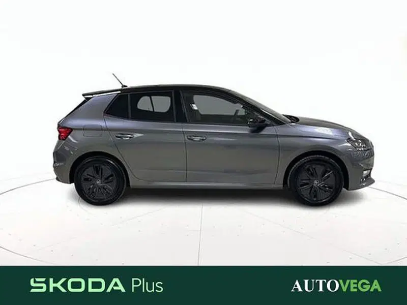 Skoda Fabia usata a Vicenza (3)