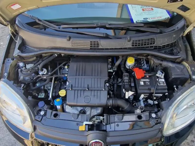 Fiat Panda usata a Salerno (20)