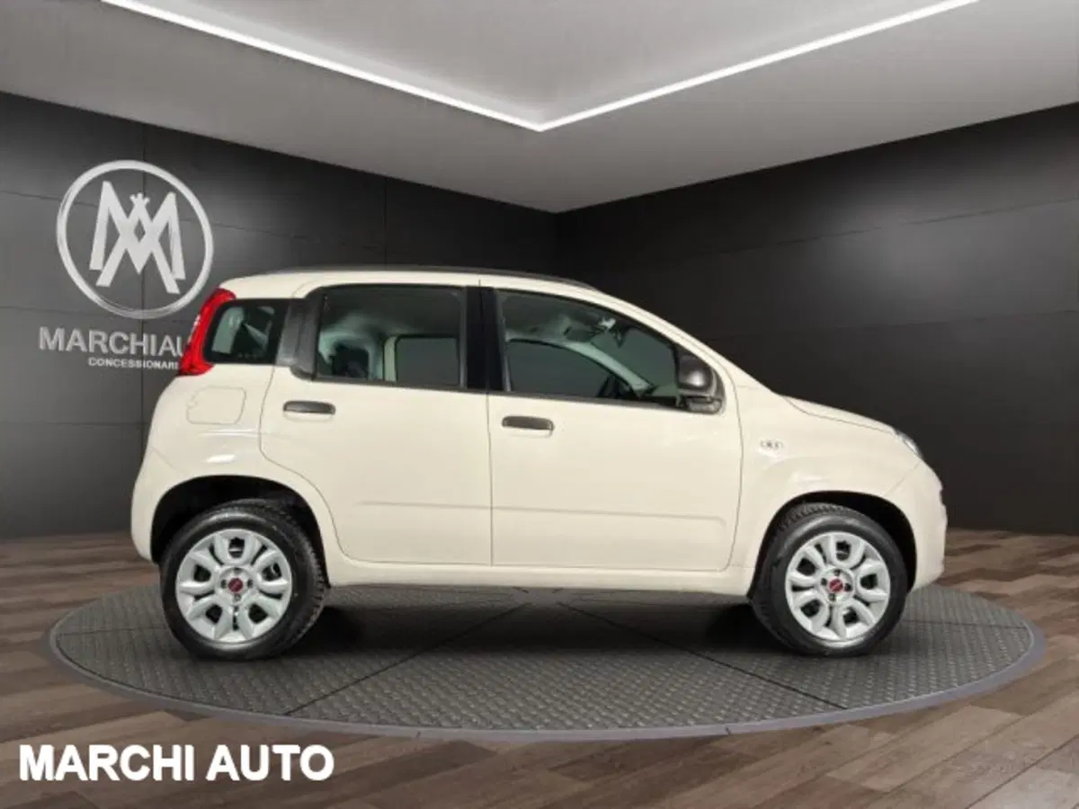 Fiat Panda usata a Perugia (4)