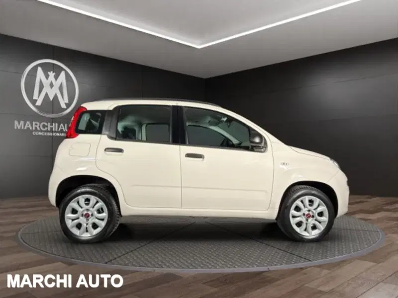 Fiat Panda usata a Perugia (4)