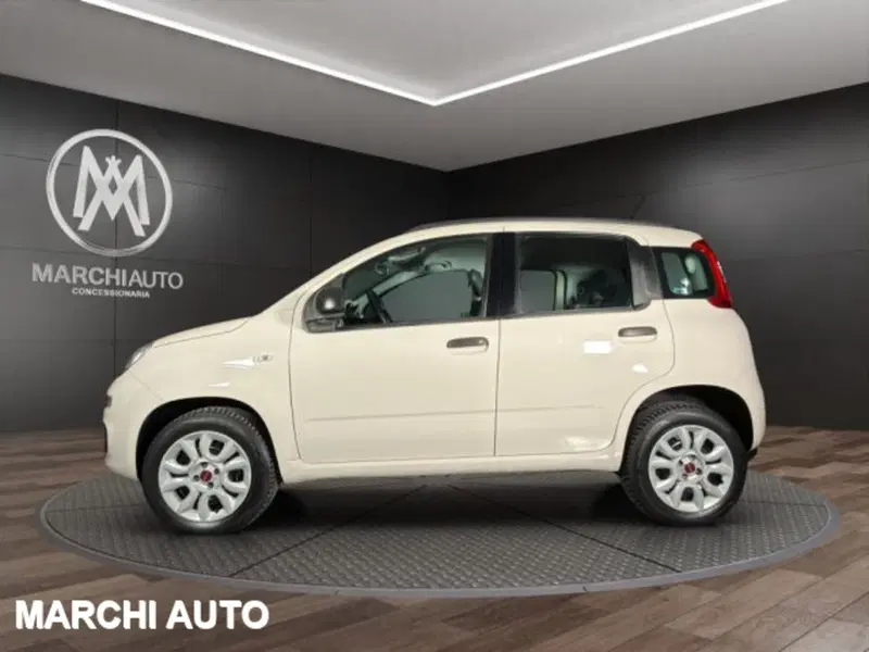 Fiat Panda usata a Perugia (8)