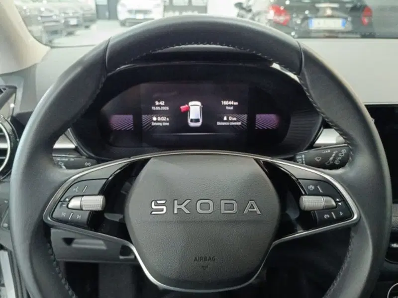 Skoda Fabia usata a Catania (17)