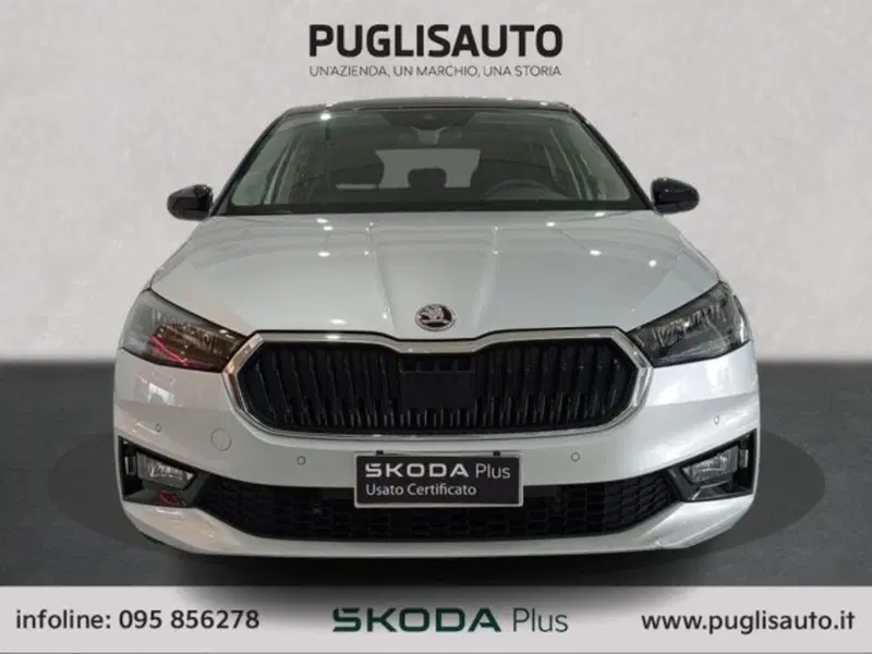 Skoda Fabia usata a Catania (2)
