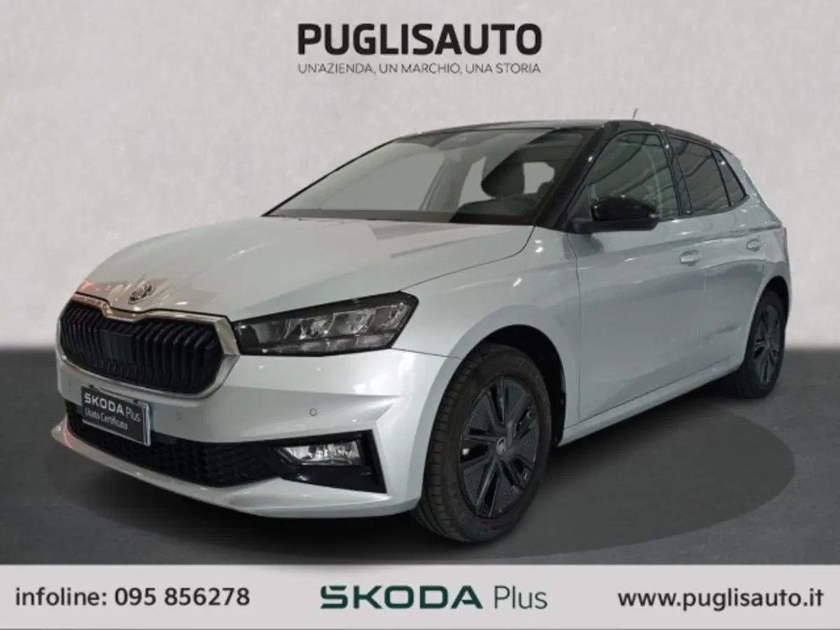 Skoda Fabia usata a Catania (3)