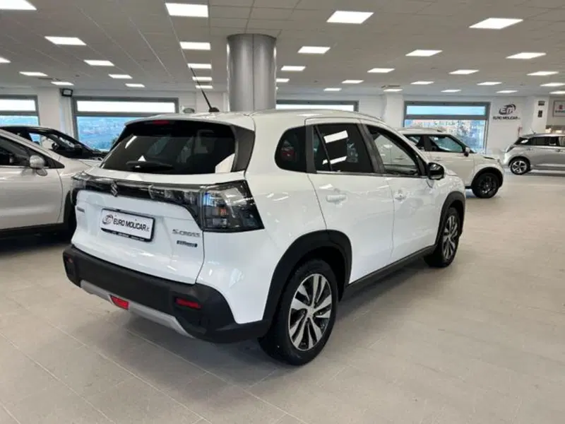 Suzuki S-Cross usata a Campobasso (12)