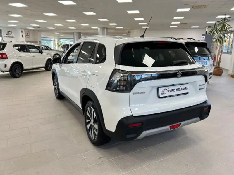 Suzuki S-Cross usata a Campobasso (9)