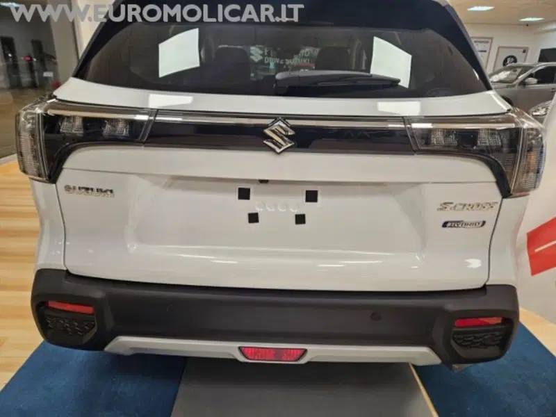Suzuki S-Cross nuova a Campobasso (19)