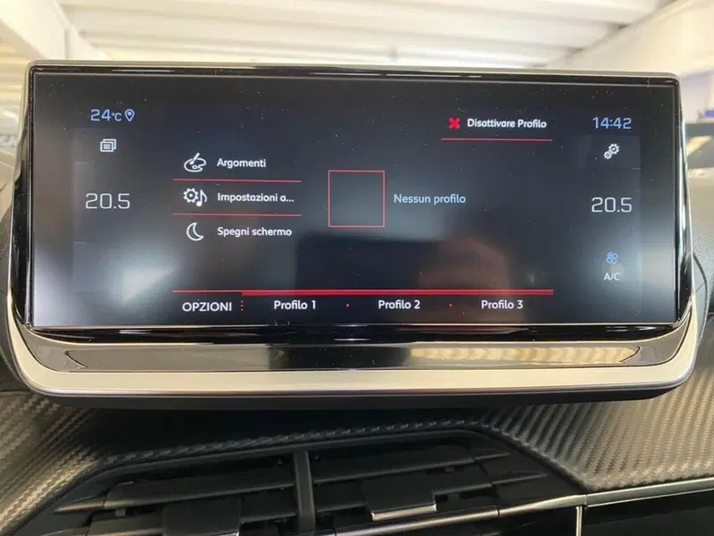 Peugeot 2008 usata a Torino (10)
