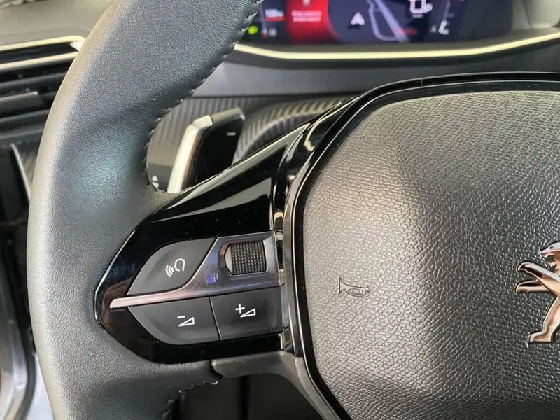 Peugeot 2008 usata a Torino (13)