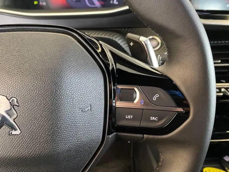 Peugeot 2008 usata a Torino (14)