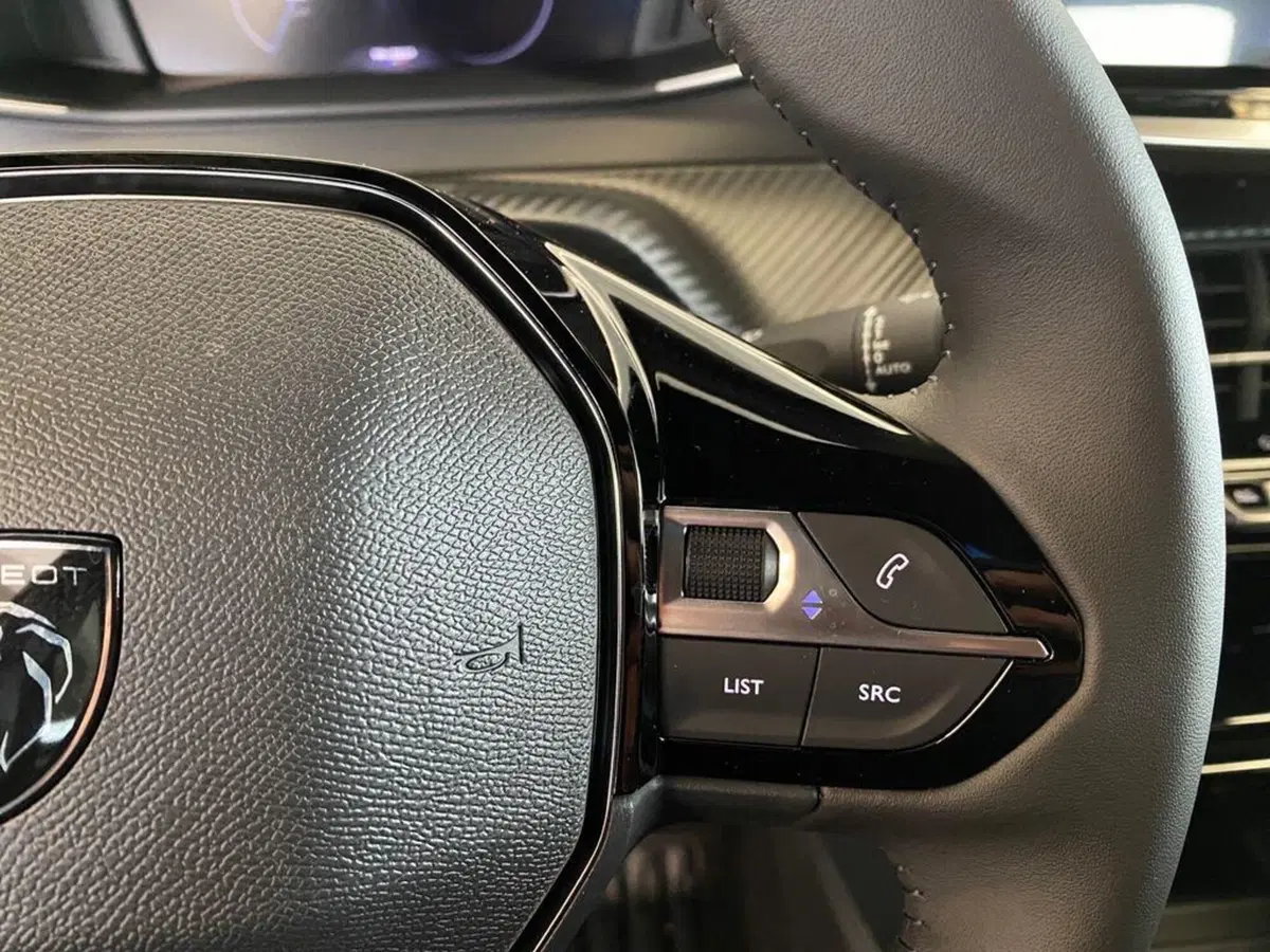 Peugeot 2008 nuova a Torino (14)