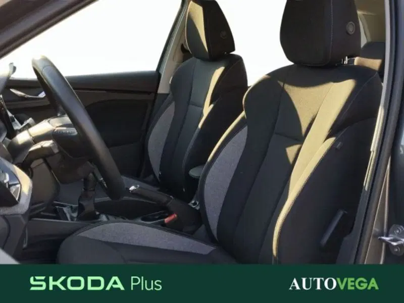 Skoda Kamiq usata a Vicenza (16)