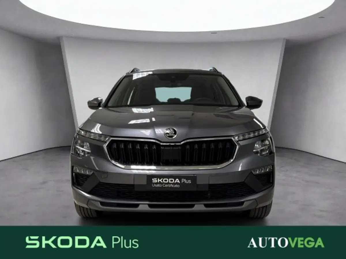 Skoda Kamiq usata a Vicenza (2)
