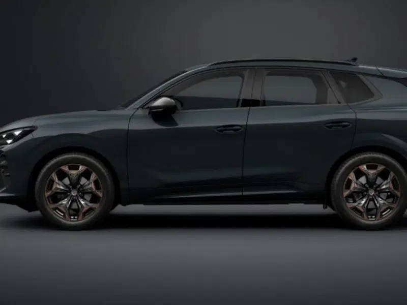 Cupra Terramar nuova a Vicenza (2)