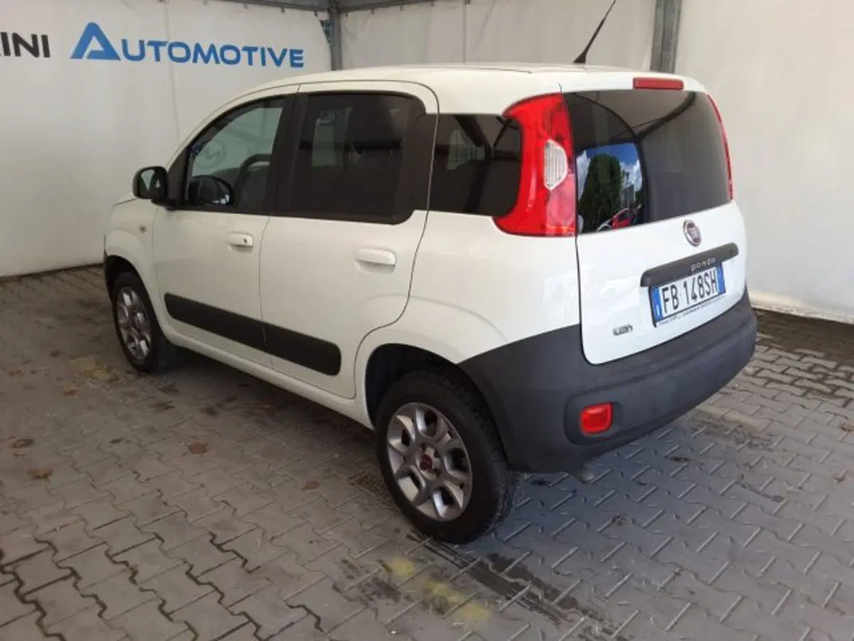 Fiat Panda usata a Firenze (11)