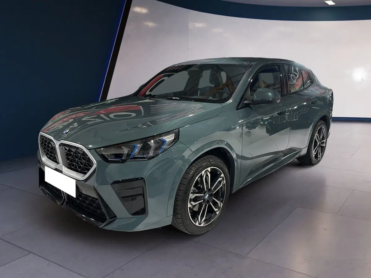 BMW X2 usata a Torino (3)
