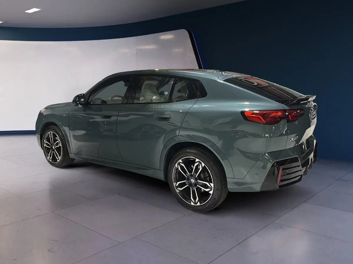 BMW X2 usata a Torino (4)