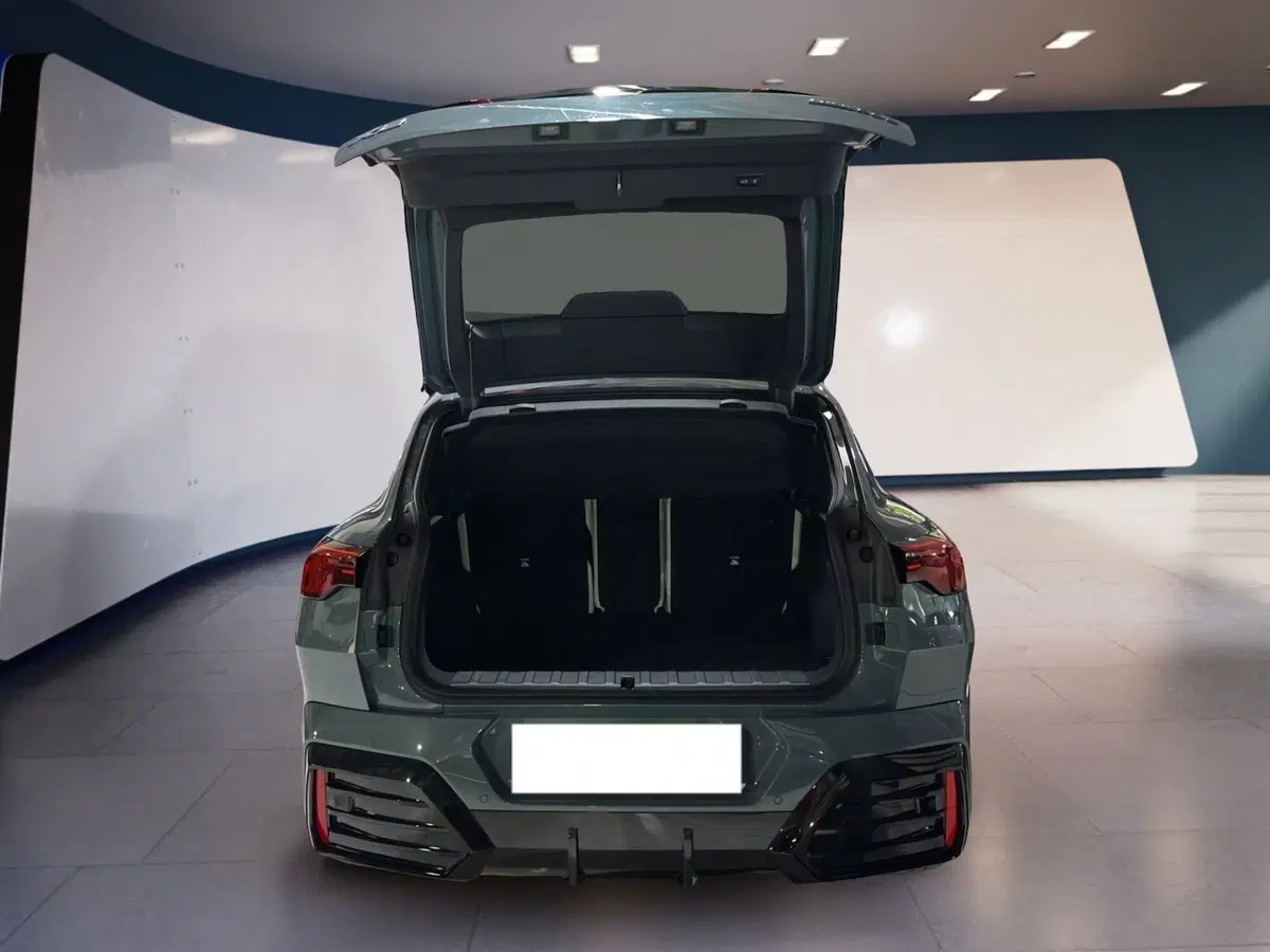 BMW X2 usata a Torino (7)