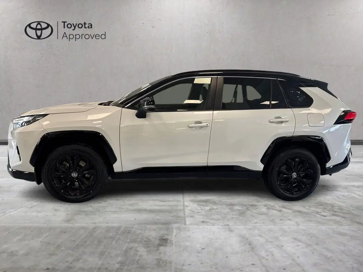 Toyota Rav4 usata a Prato (3)